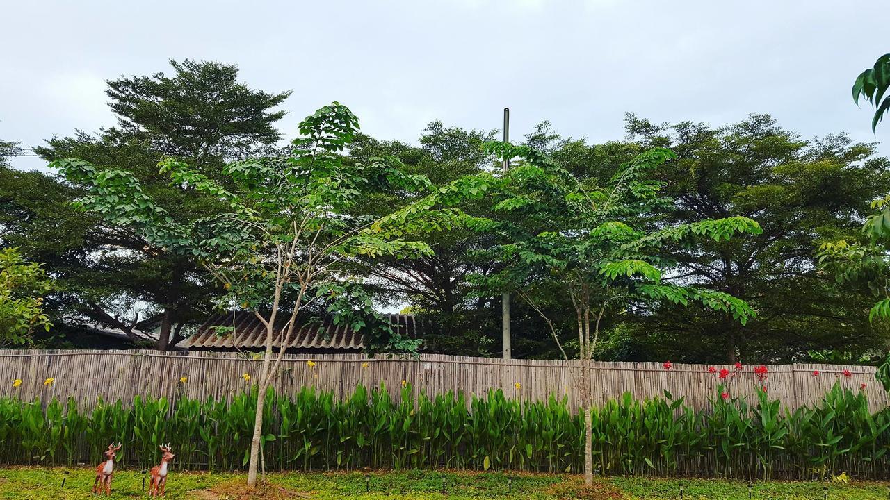 บ้านสวนมีดี ลำพูน Meedee Homestay Lamphun Ban Nong Pla Kho Exterior foto